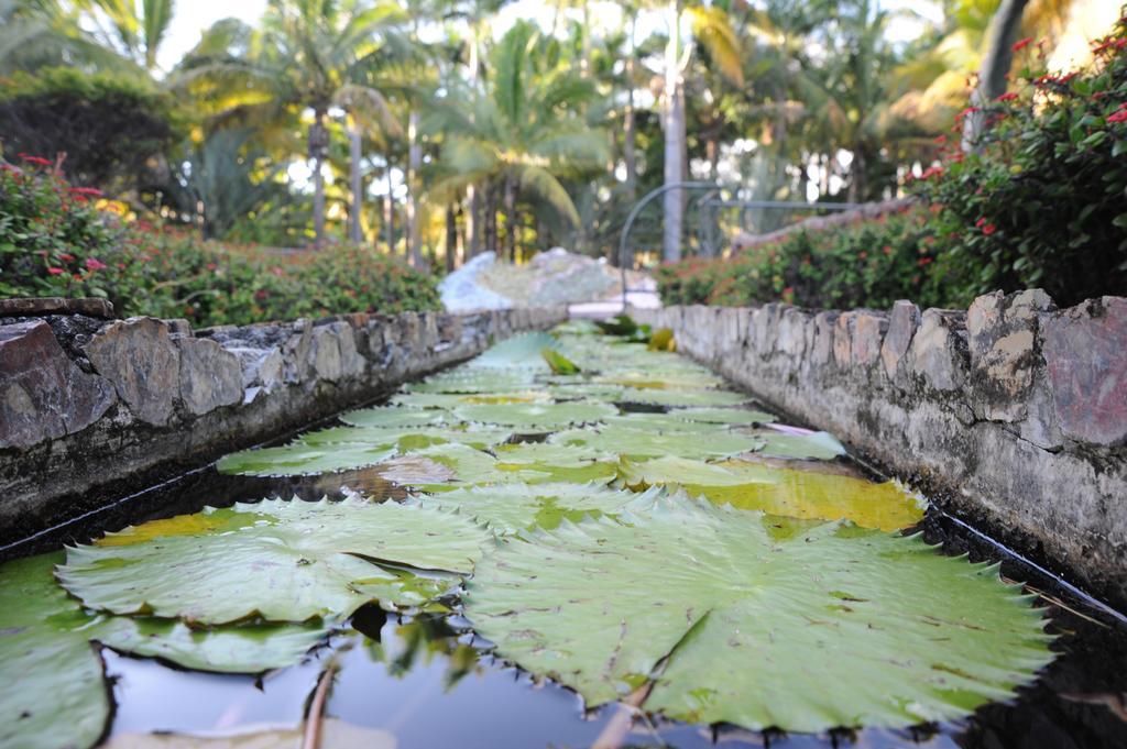 Le Domaine Des Pierres Otel Saint Pierre Dış mekan fotoğraf